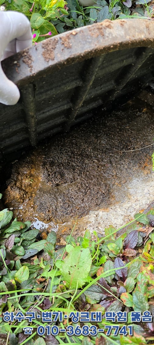 군산 임피 하수구 막힘 - 기름 슬러지로 가득 찬 맨홀 모습