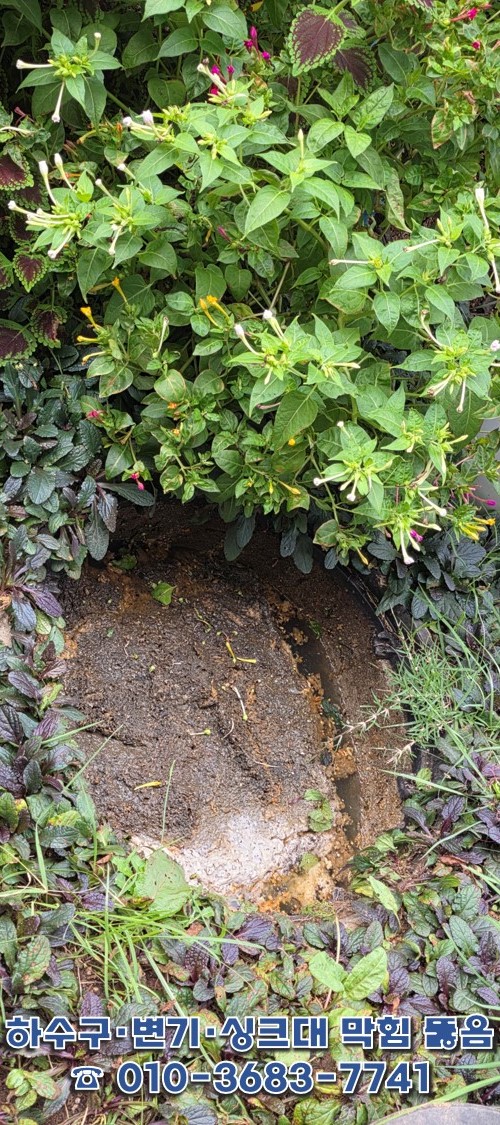 군산 명절 하수구 역류 - 오염된 맨홀 상태